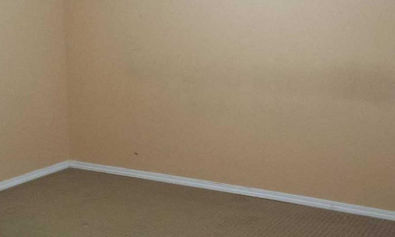 2 Bedrooms Basement ...
