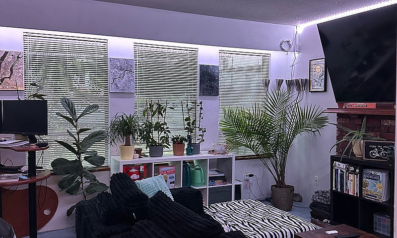 Avail Nov 01, 2 Bed,...