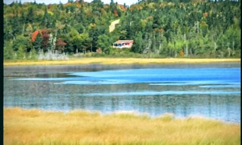 15.3 Acres Land For ...