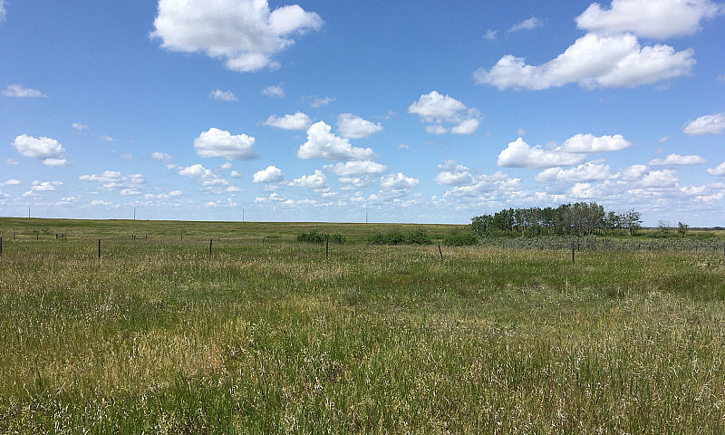 Pasture Land For Sal...