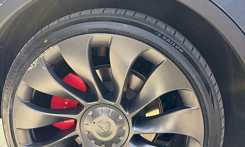 Tesla Model Y Perfor...