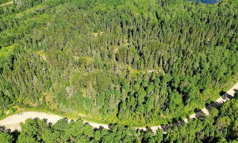 Lot 4 Grassy Lake...