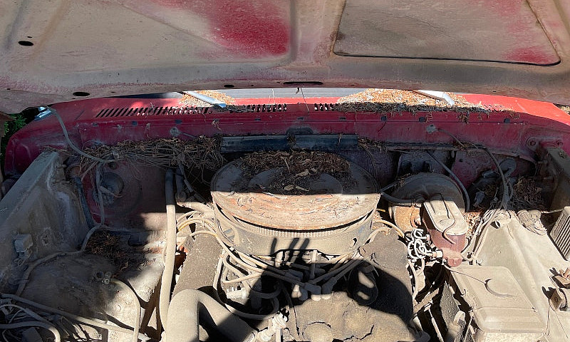 1975 Ford F100 4X4...