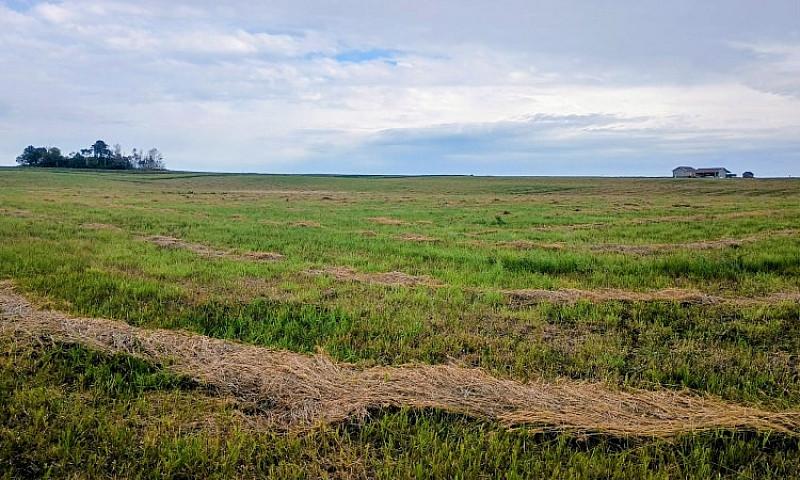 Sk Acreage Opportuni...