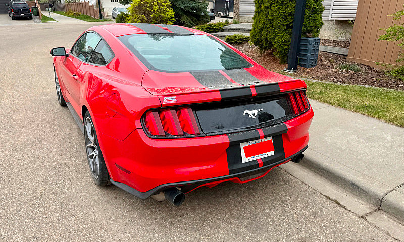 2015 Mustang Ecoboos...