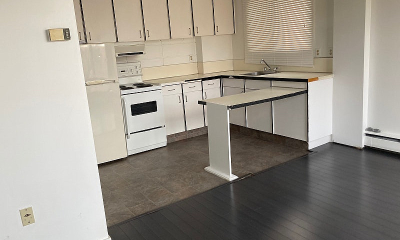 One Bedroom Apartmen...