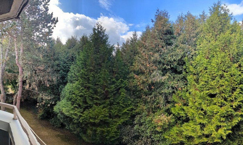2 Bedroom Apartment ...