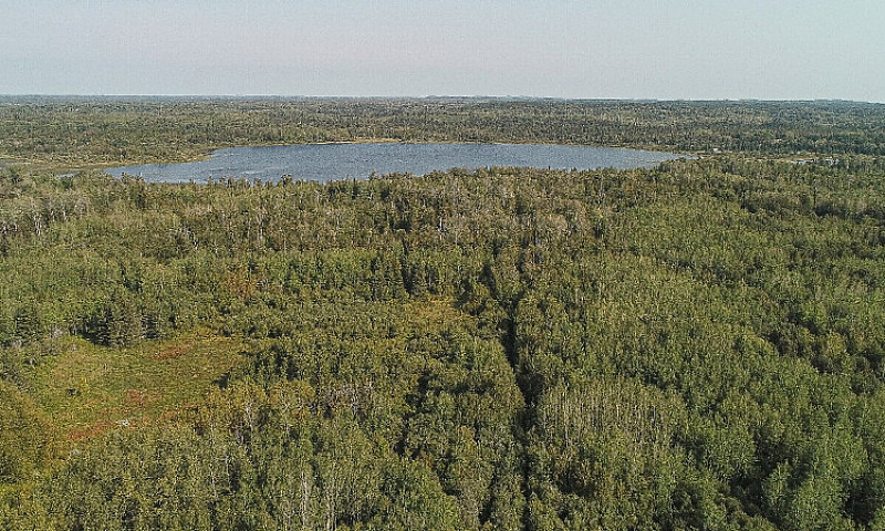 43 Acre Lakefront Pr...