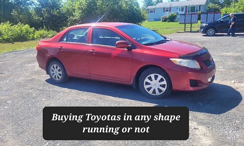 Wanted Toyotas In An...