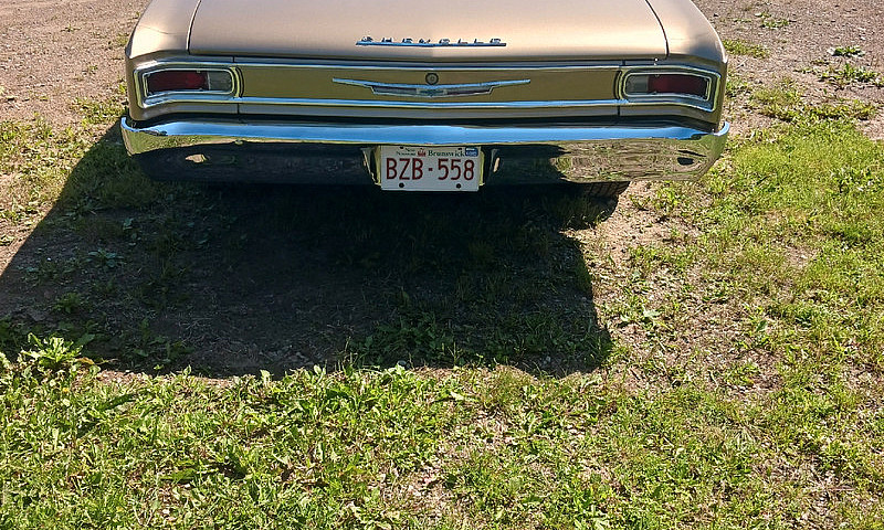 Cheville Malibu...