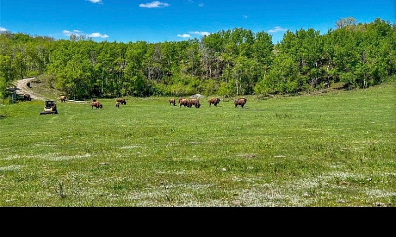 Land Forsale...