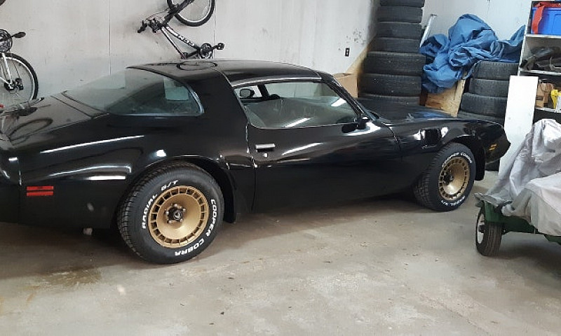 81 Trans Am Turbo ...