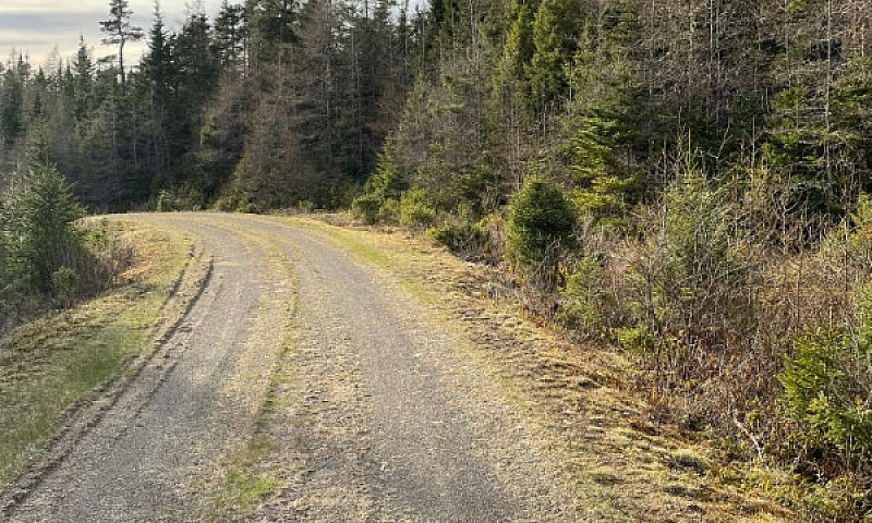 5.4 Acre Lot Loch Lo...