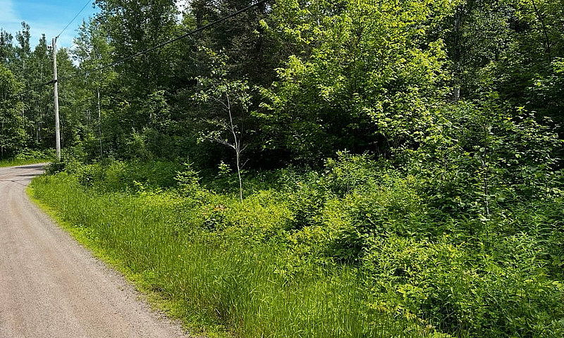 12 Acre Building Lot...