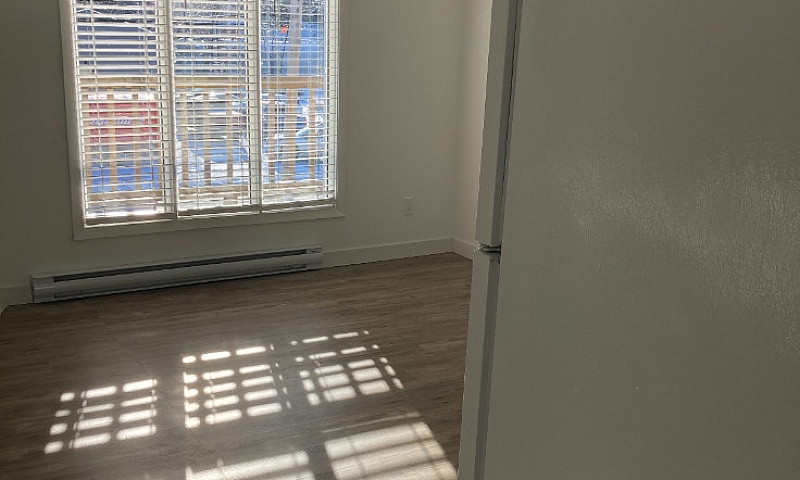 1 Bedroom Apartment ...