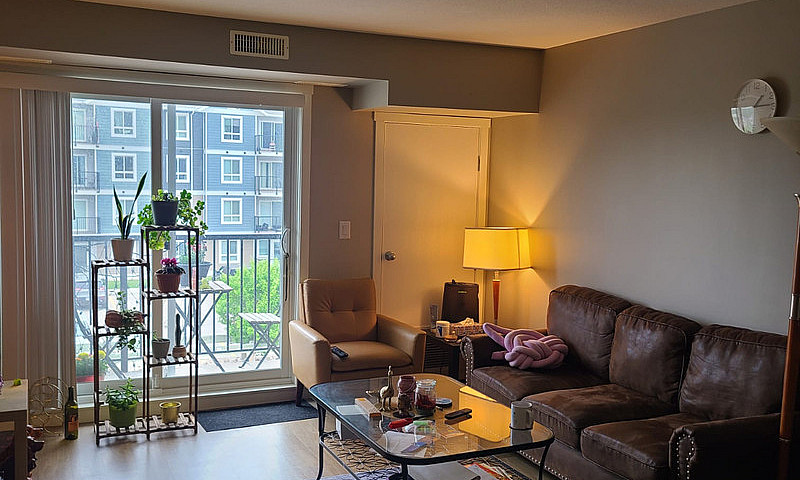 Apartment For Rent...