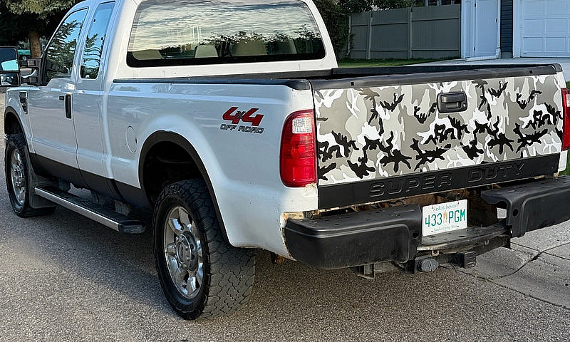 2008 Ford 5.4 L Ford...