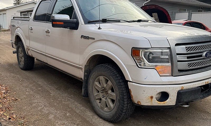 2014 F150 Platinum 5...