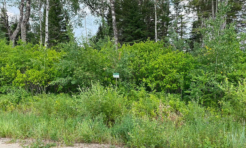 Waterfront Lot Lake ...