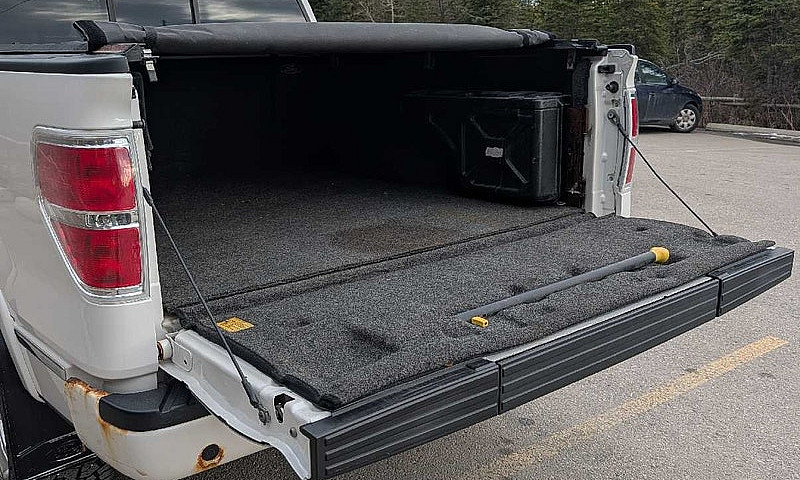 2012 F-150 Platinum ...