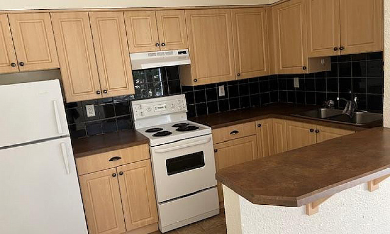 1 Bedroom Suite In O...