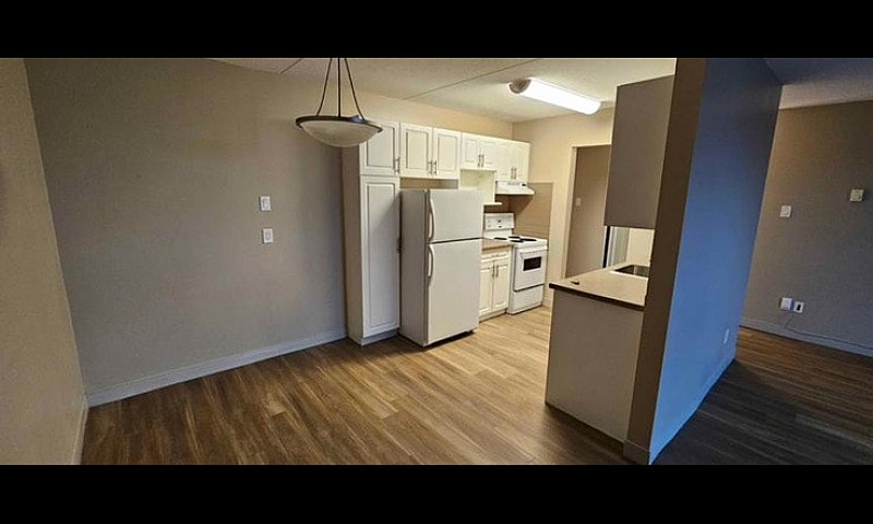 One Bed One Bath Apa...