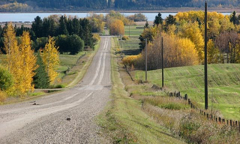 20 Acres For Sale - ...