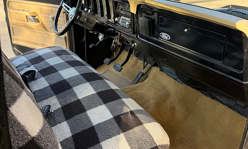 1979 Ford F-100 *New...