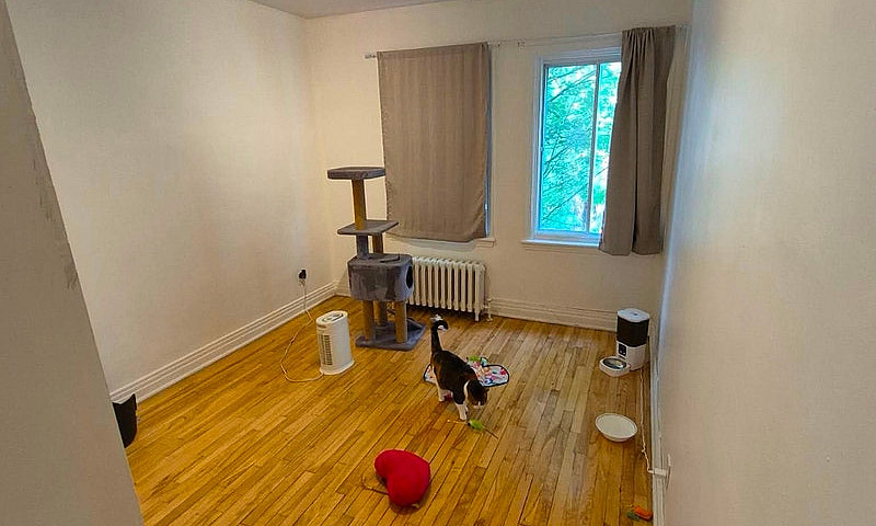 Appartement 51/2...