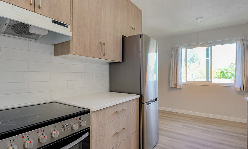 Renovated, Bright, S...