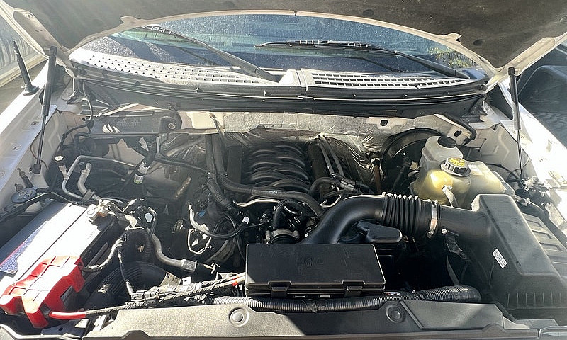 5.0 Coyote F-150 Str...