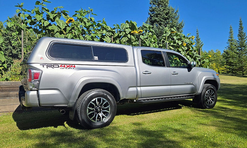 2020 Toyota Tacoma V...