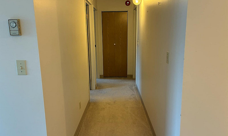 Pet-Friendly Two-Bed...