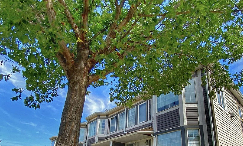 Strathmore Condo Spa...