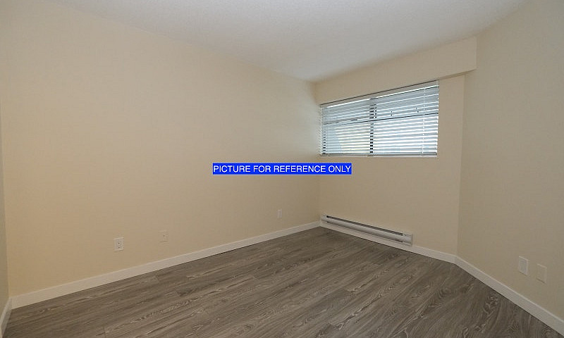 One Bedroom Apartmen...