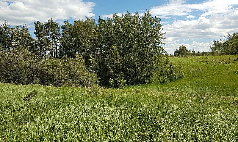 Elk Island Acreage F...