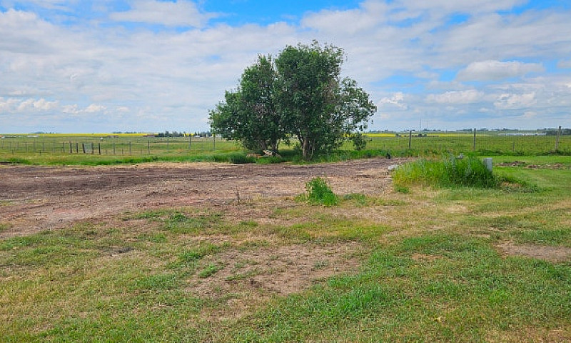 4 Acre Lot For Rent...