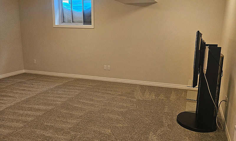 Sunny Basement Suite...
