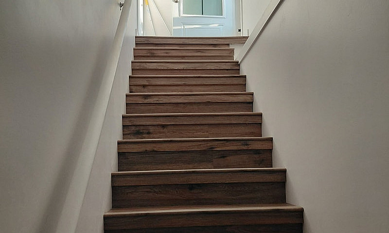 Basement Apartment F...