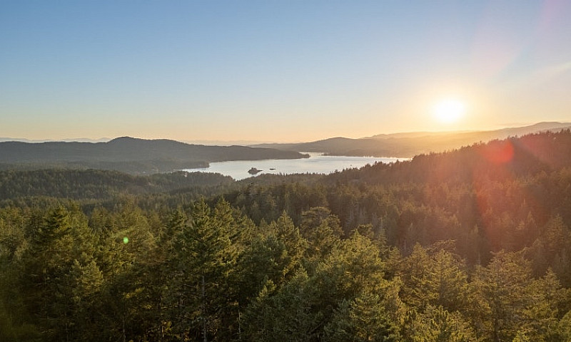 6.25 Acres - Build Y...