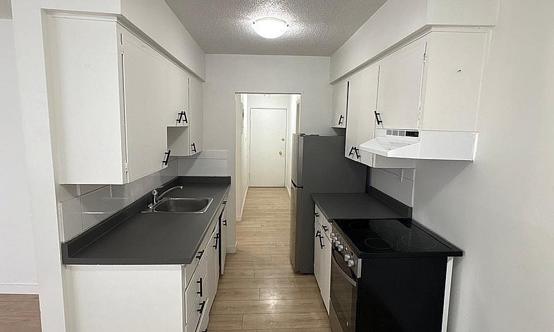 Bright 1-Bedroom Sui...