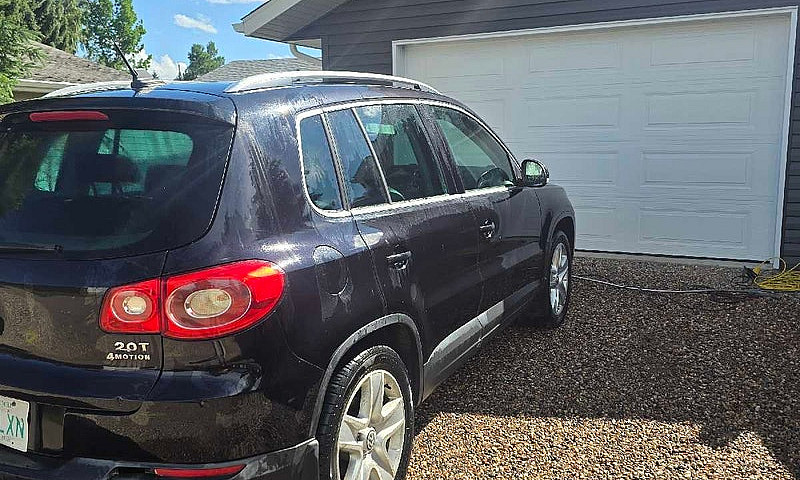 2010 Volkswagen Tigu...