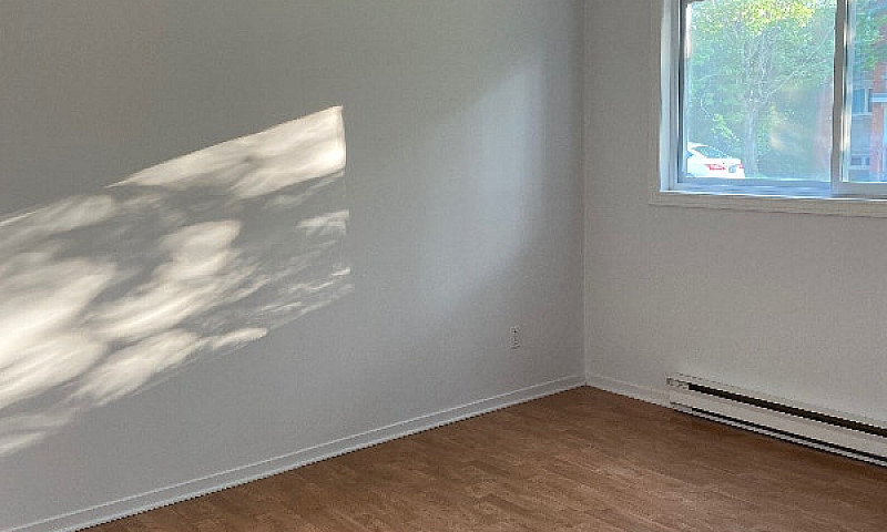 Logement 5 1/2...