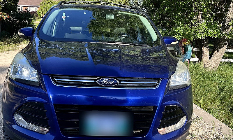 2013 Ford Escape Sel...