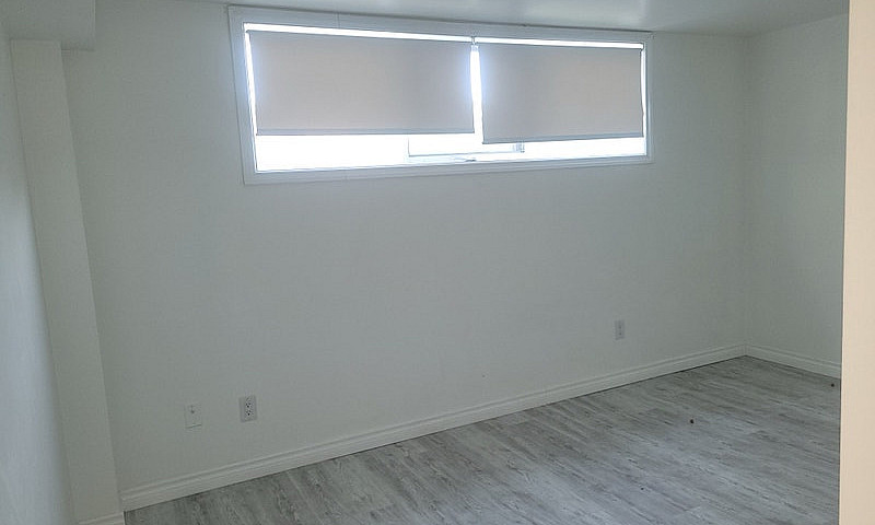 Renovated Basement A...