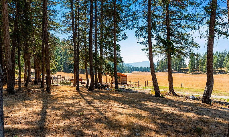 12.95 Acres Minutes ...