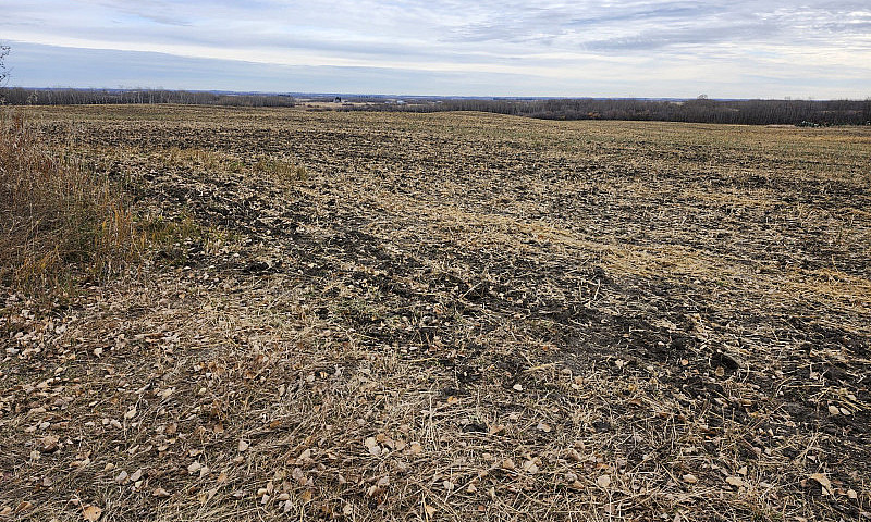 75 Acrea Farm Land 3...