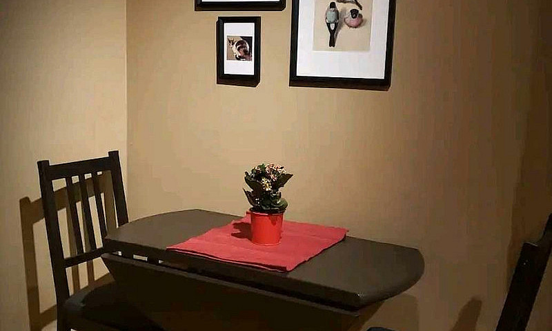 Elegant Furnished St...