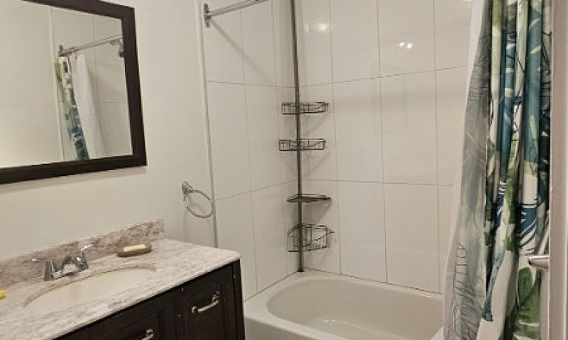 Appartement 4 1/2 + ...