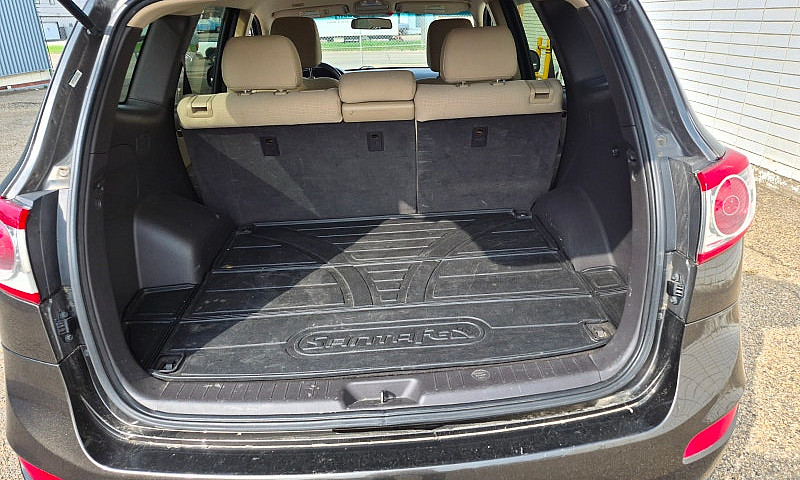 2011 Hyundai Sante F...